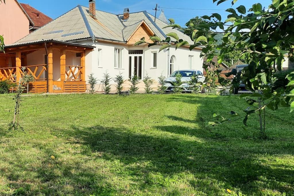 Mura House Vişeu de Sus Zewnętrze zdjęcie