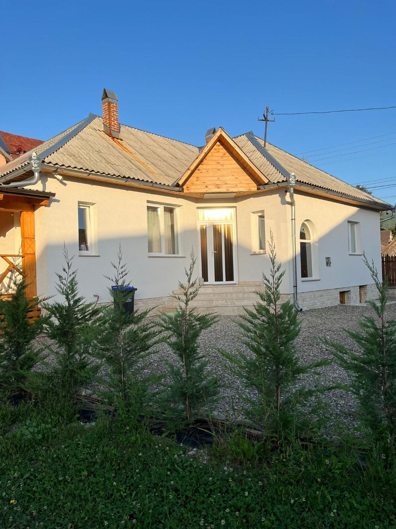 Mura House Vişeu de Sus Zewnętrze zdjęcie