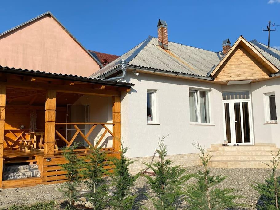 Mura House Vişeu de Sus Zewnętrze zdjęcie