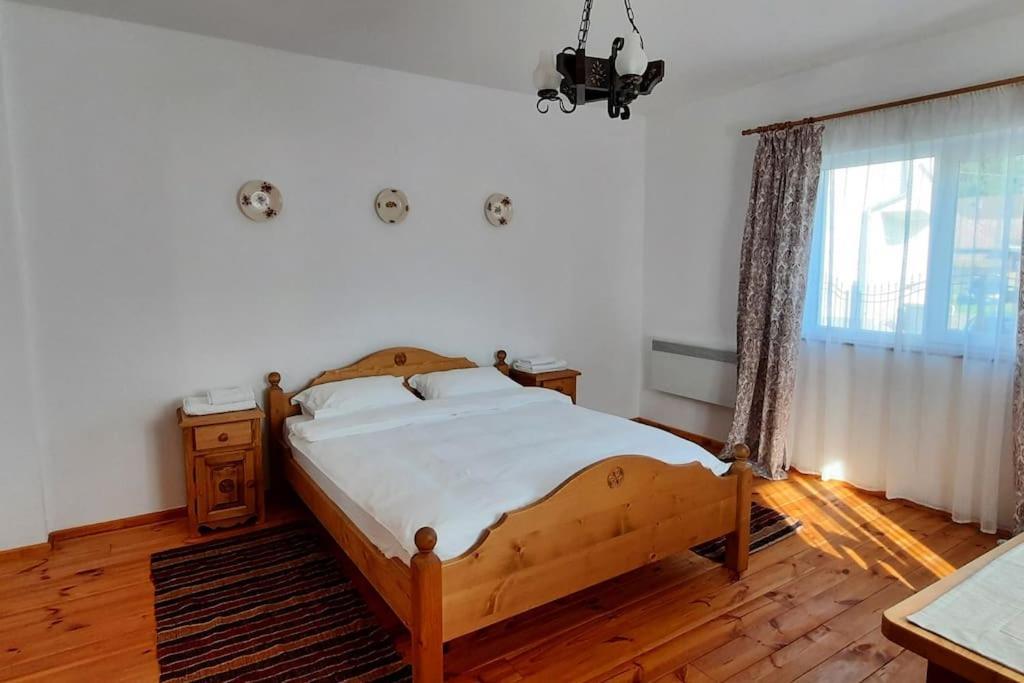 Mura House Vişeu de Sus Zewnętrze zdjęcie