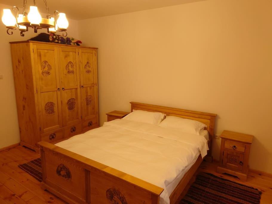 Mura House Vişeu de Sus Zewnętrze zdjęcie