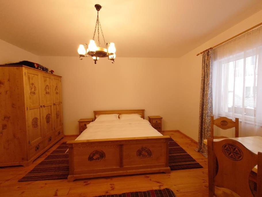 Mura House Vişeu de Sus Zewnętrze zdjęcie